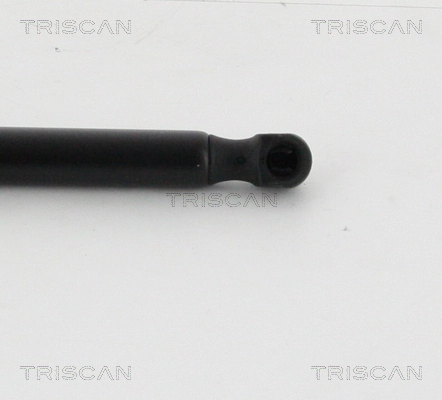 Amortiguador de maletero Triscan 871016262 precio, desde 18,65 EUR