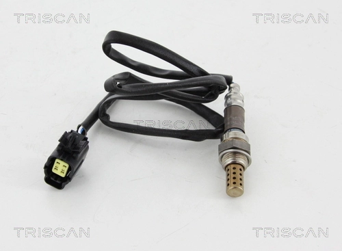 884550081 Triscan