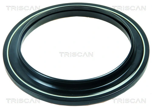 850028910 Triscan