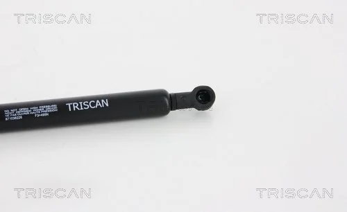 Comprar Amortiguador maletero Citroen C5 III RD