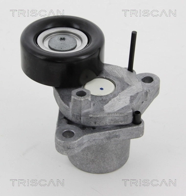 Comprar E20309OEM Japan Cars Tensor de correa poli V 