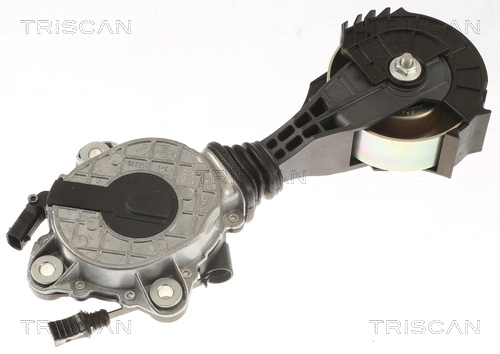 Comprar Tensor de correa poli V BMW 1  F21