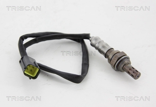 884514117 Triscan