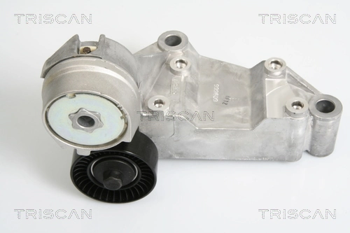 8641163009 Triscan