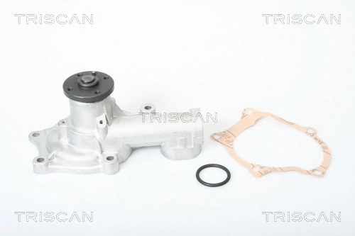 860042002 Triscan