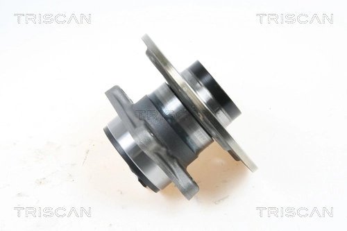 Cubo de rueda trasero 713618870 INA