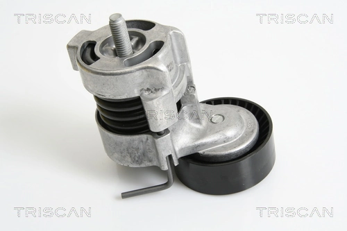 Tensor de correa de alternador para BMW X3  E83