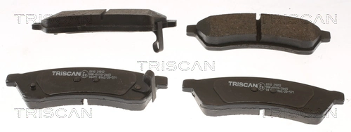 811021012 Triscan