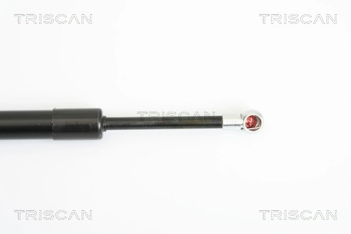 Comprar Amortiguador maletero Volkswagen Jetta V 1K2