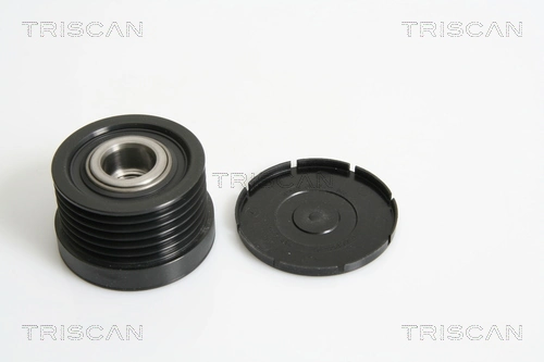 Comprar Polea alternador BMW 1  E81