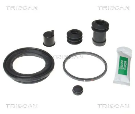 8170205741 Triscan