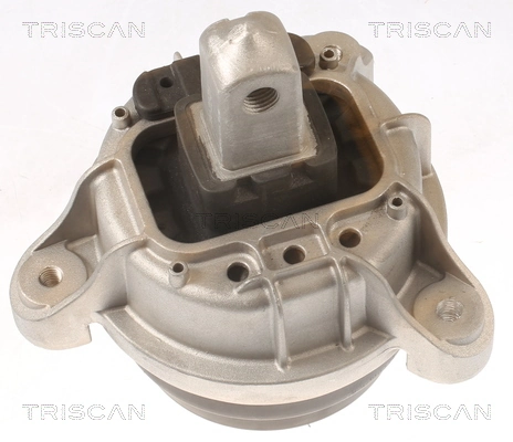 850511116 Triscan
