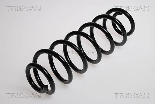 Muelle trasero para Volkswagen Golf IV 1J5