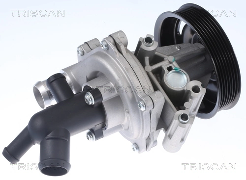 860016071 Triscan