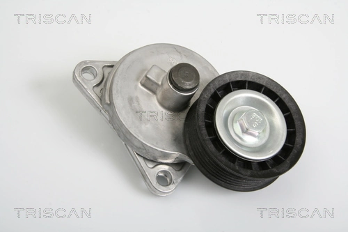 8641163005 Triscan