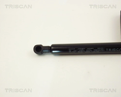 871011107 Triscan Muelle de capó 