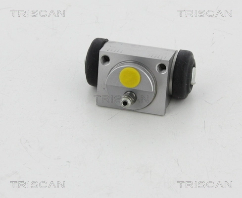 813016069 Triscan
