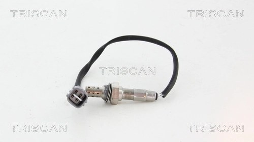 884513401 Triscan
