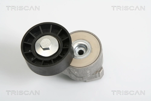Tensor de la correa trapecial poli v para Iveco Daily III ()