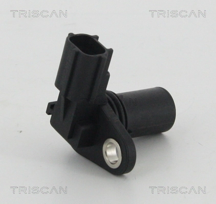 885516106 Triscan