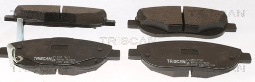 811013107 Triscan