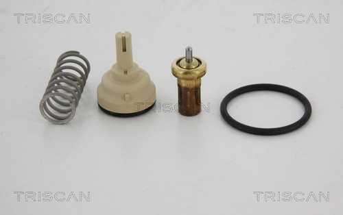 862040080 Triscan