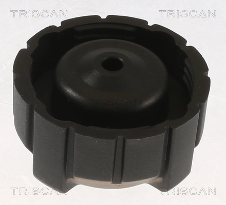 Tapa de depósito de agua Nissan Qashqai II