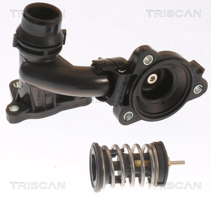 862055085 Triscan Termostato de agua