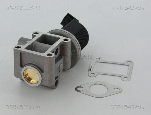 EGR Peugeot/Citroen 1675871380