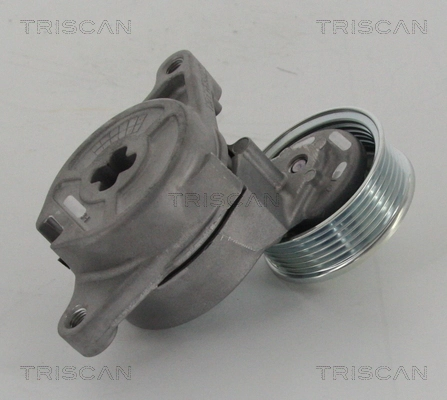 8641502003 Triscan