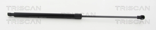 8710112011 Triscan