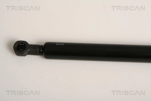 871011231 Triscan Amortiguador de porton