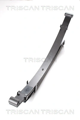 876542006 Triscan