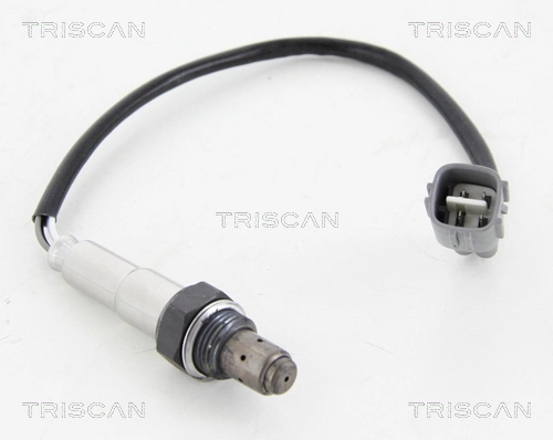 884513074 Triscan