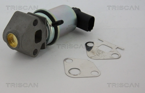 Comprar 881329011 Triscan Válvula EGR