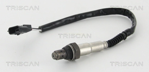 884525013 Triscan