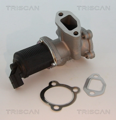 Comprar 93196799 Peugeot/Citroen Válvula EGR