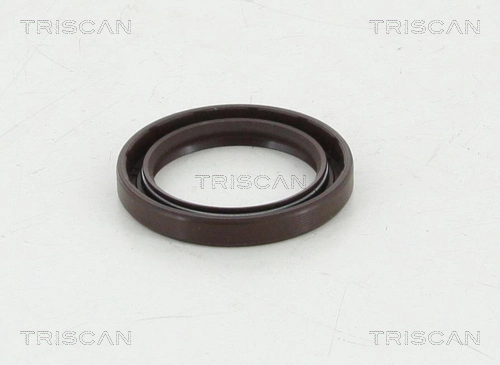 855010062 Triscan