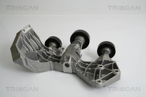 8641233017 Triscan