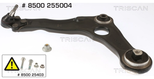 8500255004 Triscan