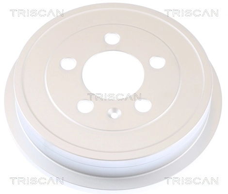812029222C Triscan