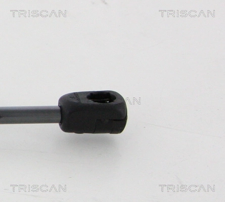 Muelle neumático, tapa delantera Porsche 911 Targa descapotable (991) (2014 - 2019) precio, desde 17,70 EUR
