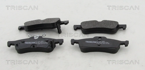 811040068 Triscan
