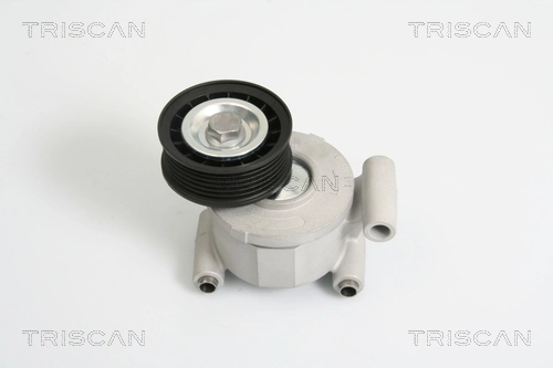 Tensor de la correa trapecial poli v Mazda 3  (BL)