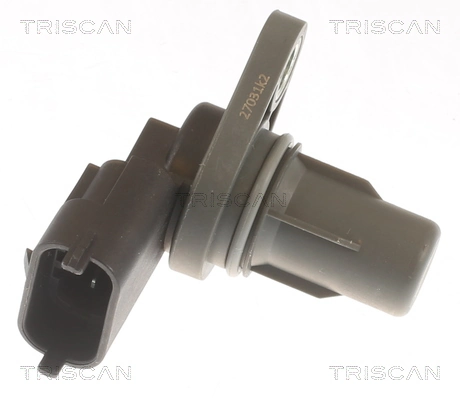 885543138 Triscan