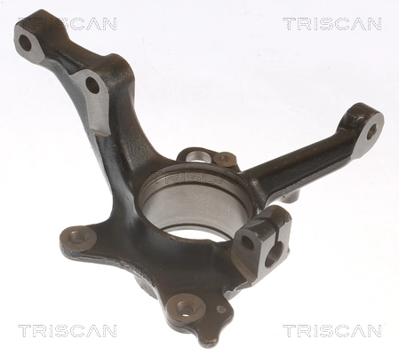 850029718 Triscan