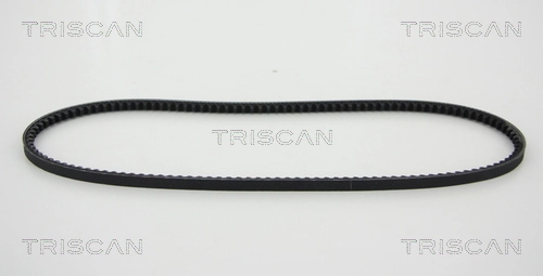 8640100960 Triscan