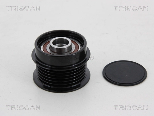 8641244008 Triscan