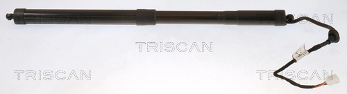 871013301 Triscan