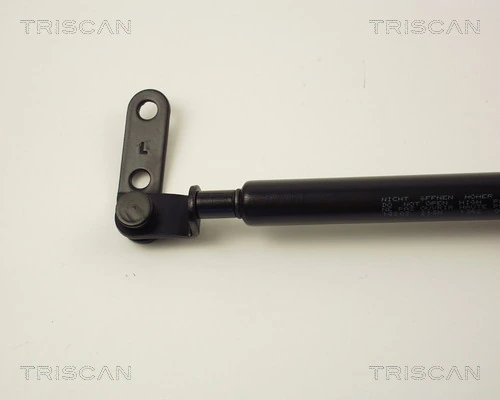 Amortiguador de porton para Nissan Micra  K10